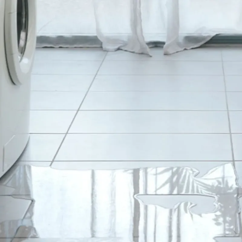 Appliance Leak Cleanup in Shiner, TX
