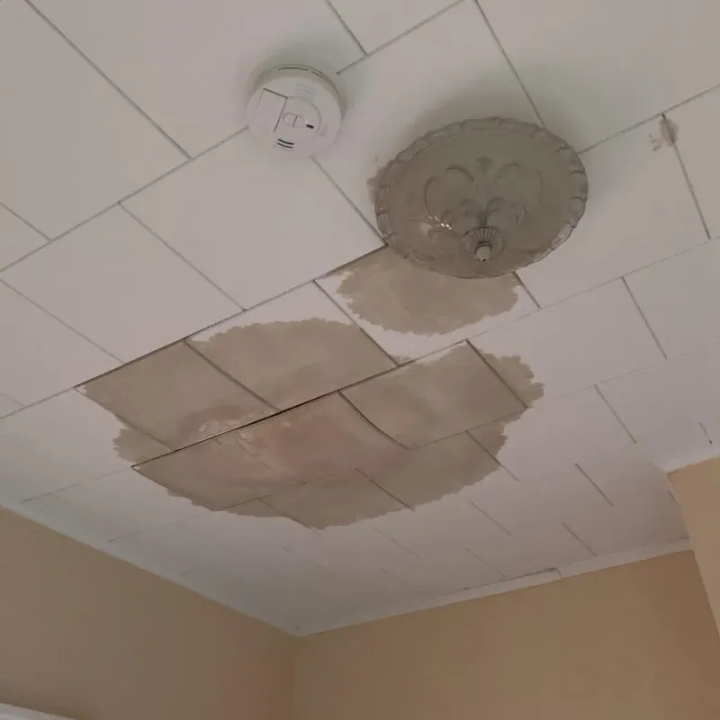 Ceiling Water Damage Repair in Shiner, TX