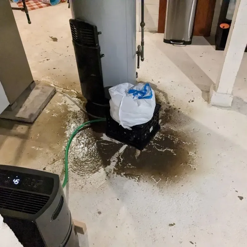 Sewage Backup Cleanup Service in Shiner, TX
